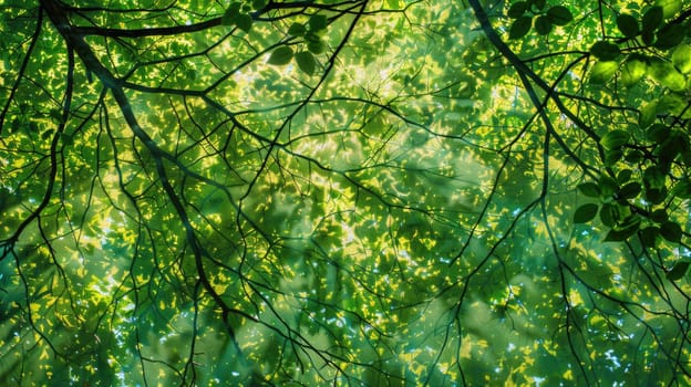 A beautiful painting depicting the sun shining through the trees in a park, illuminating the grass and creating a stunning natural landscape AIG50