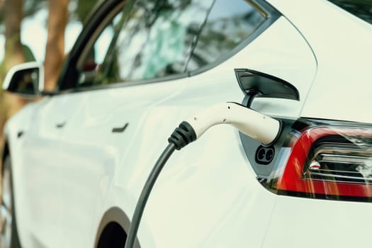 Closeup EV charger handle plugged in or connect to electric car, recharging EV car battery with alternative and sustainable energy with zero CO2 emission for clean environment. Perpetual