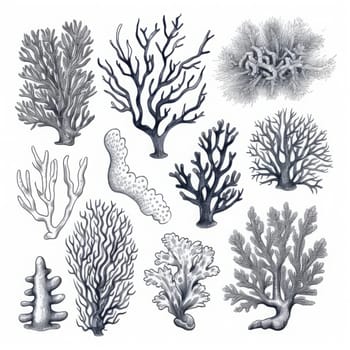 sea corals and seaweed black silhouette set isolated. Generated AI.