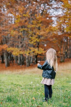 Little girl looks at a dandelion in her hand while standing in a green meadow near an autumn forest. Side view. High quality photo