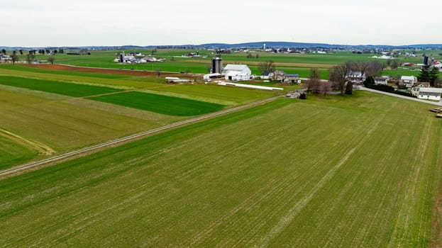 Dawn breaks over a peaceful farmland, highlighting the vibrant greens and tranquil scenery.