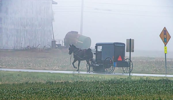 A horse and buggy is driving down a road in the rain. The road is wet and the sky is cloudy