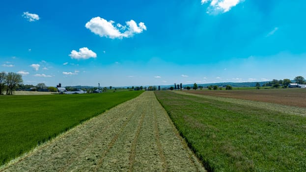 Wide aerial view of a picturesque rural landscape, showing a striking contrast between vibrant green and brown fields under a bright blue sky dotted with fluffy clouds.