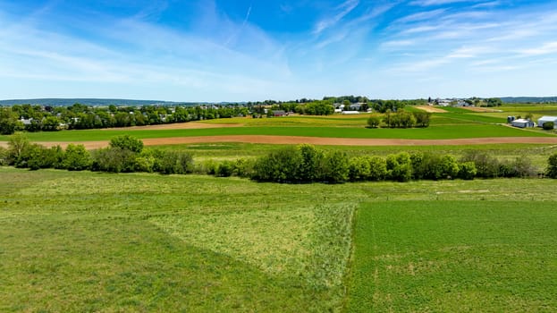 A large field with a few houses in the distance. The sky is blue and the grass is green