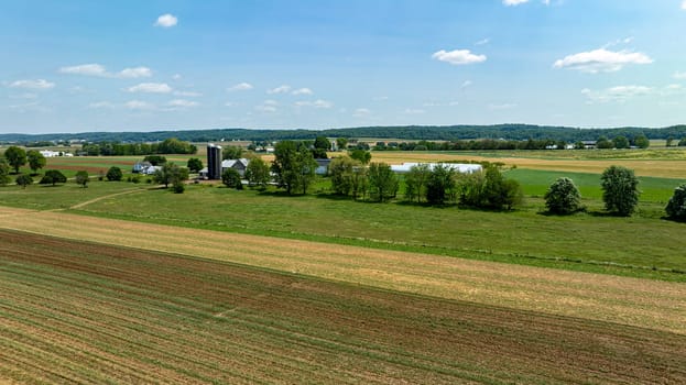 A farm with a barn and a pond. The sky is blue and the grass is green