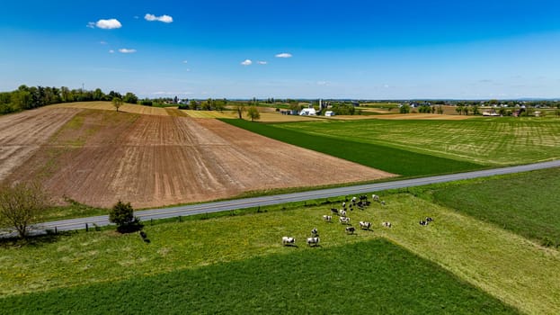 This aerial photograph showcases a diverse rural landscape with patchwork fields in various shades of brown and green, a herd of grazing cattle, and a clear sky with sparse clouds.