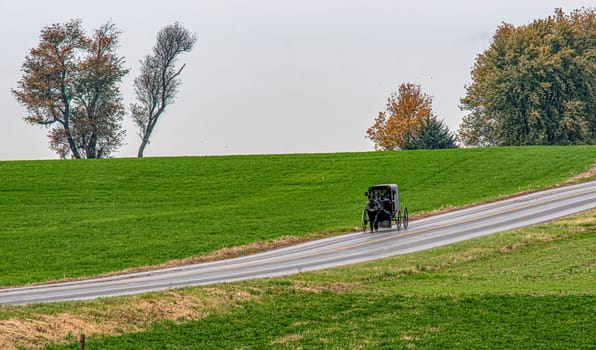 View of an Amish Horse and Buggy Approaching Down a Rural Countryside Road on a Sunny Autumn Day