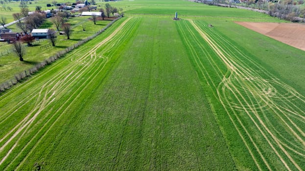 A birds-eye view of verdant fields creating patterns on a tranquil farmstead under the gentle spring sun.