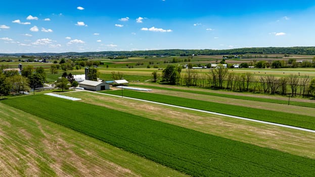 Aerial photograph captures the sweeping landscape of a rural area, with lush green and brown agricultural fields divided by a straight rural road, under a vibrant blue sky with fluffy clouds.