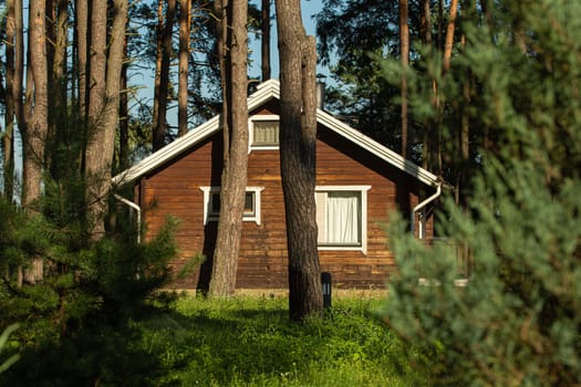 Cozy small wooden house cottage in a pines forest in summer. Rustic tranquil cabin retreat on nature rural area.