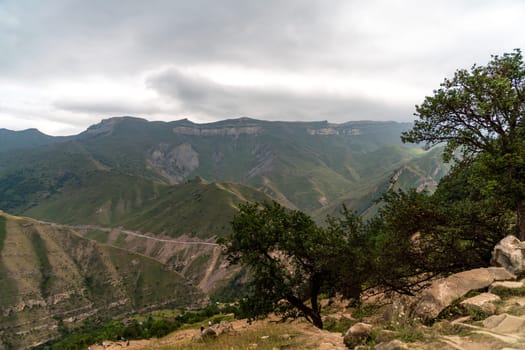 Caucasian mountain. Dagestan. Trees, rocks, mountains, view of the green mountains. Beautiful summer landscape