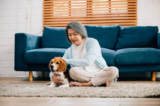 Warm moments, An old lady sits on the sofa, embracing her Beagle puppy in their living room. Their friendship and happiness make this home a haven of love and warmth. Pet love