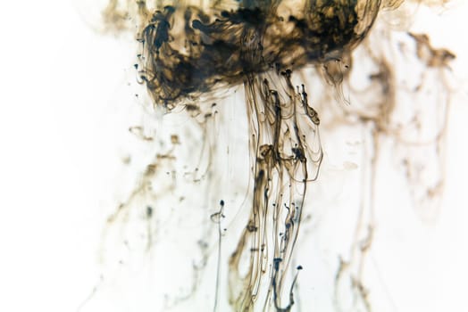 Swirls of black ink creating captivating patterns as they diffuse in a tranquil water canvas.