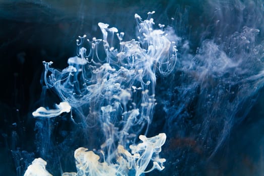 A mesmerizing dance of inky tendrils unfurling through azure waters, evoking a sense of depth and intrigue. white Ink dropped into the water and photographed while in motion.