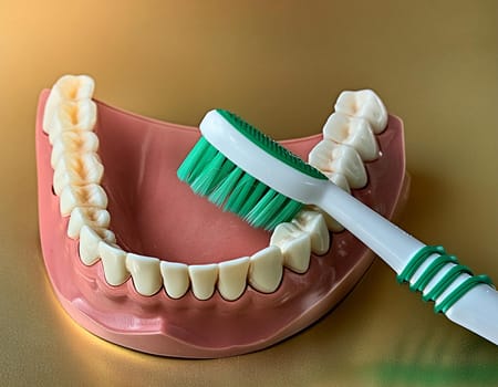 Use a toothbrush to clean partial dentures from replacement teeth.