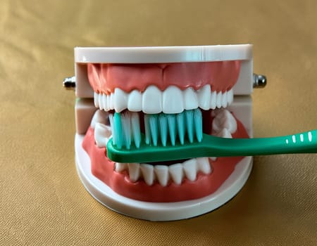 Use a toothbrush to clean partial dentures from replacement teeth.