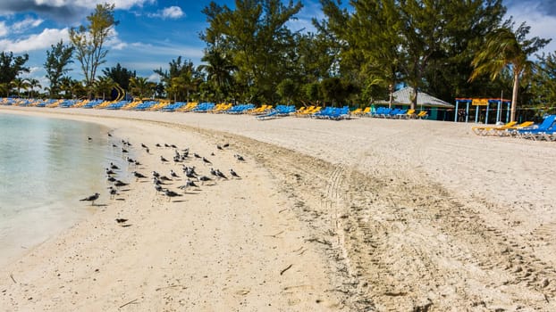 Bahamas Coco Cay Caribbean Island - Luxury beach oasis