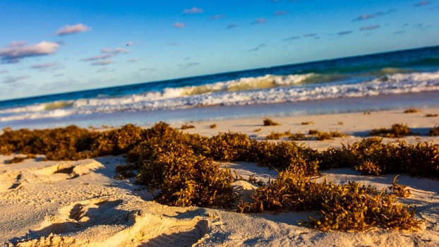 Horseshoe Bay Beach and Deep Bay Beach in Hamilton, Bermuda