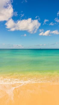 Barbados Island's Sandy Paradise Beach, Caribbean Island