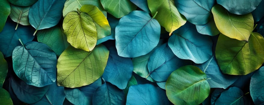 Colorful Monstera leafs background suitable for wallpaper or to represent as backdrop or mockup