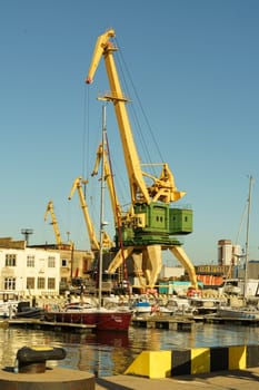 Klaipeda, Lithuania - August 11, 2023: A crane is sitting calmly in the water, its long legs partially submerged as it observes its surroundings.