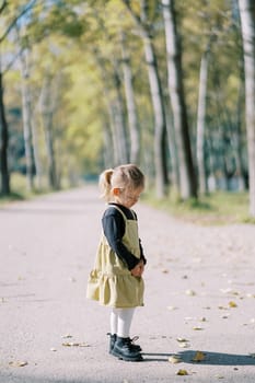 Little girl looks at fallen leaves while standing on the road in an autumn park. Side view. High quality photo