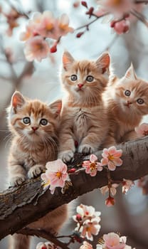 Three small to mediumsized cats from the Felidae family, with whiskers and sharp claws, are perched on a tree branch surrounded by pink flowers in their natural environment