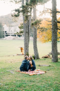 Dad kisses mom with a little boy on her lap while sitting on a blanket in the autumn park. High quality photo