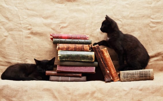 Two small black kittens near old books on canvas background