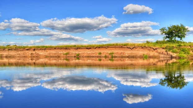 tree and blue sky with clouds reflected in the water of the river in the summer