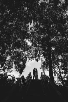 silhouette of the bride and groom in nature on the wedding day
