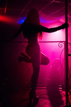 sexy young girl dancing go-go on the nightclub scene with high heels and long hair silhouette