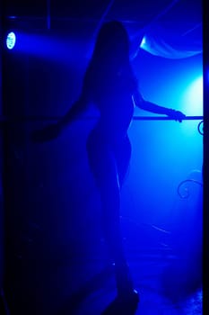 blurred silhouette of a sexy young girl dancer go-go posing on the counter of night club