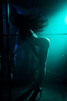 blurred silhouette slim sexy dancers waving hair on the dance floor of a night club
