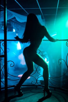 young girl with a slim sexy figure dancing go-go with a naked body in a nightclub on stage, dance floor silhouette