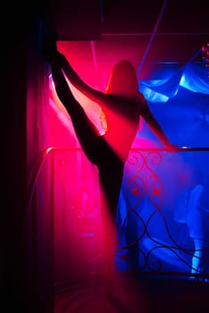 silhouette of a go-go dancer girl on stage in a nightclub