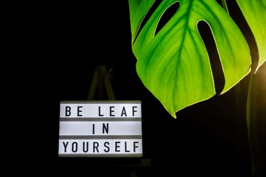 Caption saying BE LEAF believe IN YOURSELF Indoors garden healthy space biophilia design. Joke quote humor Monstera house plant with sunset lamp light. Creative minimalistic design