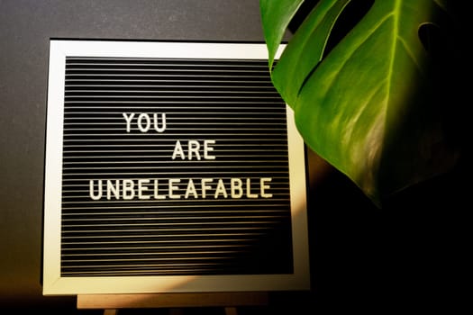 Funny joke idea inscription saying YOU ARE UNBELEAFABLE unbelievable Monstera silhouette leaf in dark background and light from sunset aesthetic lamp. Projector yellow light golden hour effect. House plants sustainable environmentally friendly harmonious space at home.