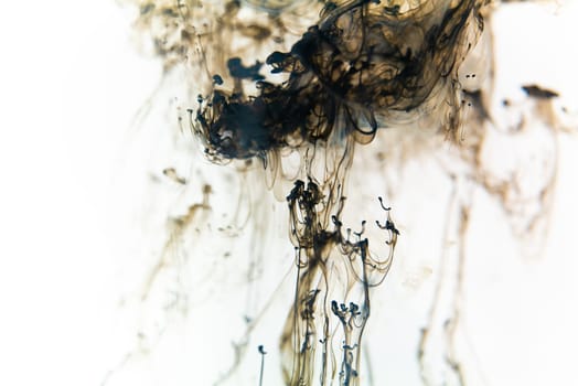 Black ink swirls forming delicate patterns as they diffuse elegantly through clear water, resembling an abstract ballet. Paint swirling in water.