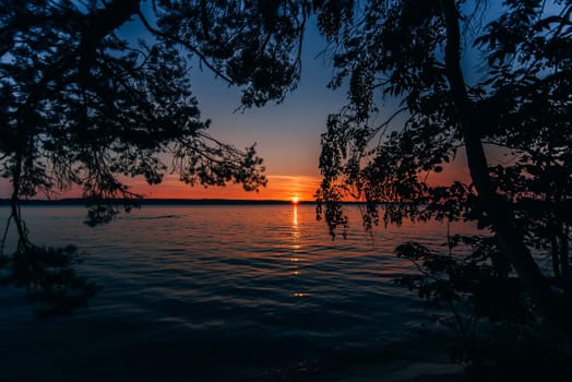 beautiful sunset on sea with sun and blue sky through the branches of the trees on the beach