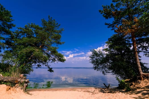 sandy beach with trees growing on the shore against the blue sky and water during summer vacation
