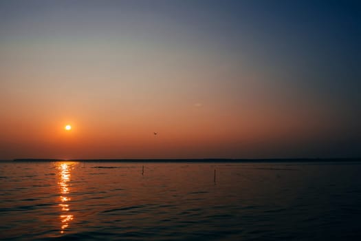 sunrise over the river with the orange sky and a flying Seagull