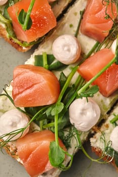 Macro shot highlighting delicate textures of smoked salmon bruschetta with cream cheese and mozzarella garnished with fresh green pea tendrils. Popular Italian antipasto