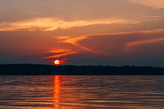 sunset over the water with the red sun and orange sky with silhouettes of flying birds