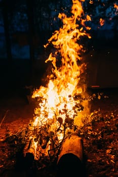 fire of wood night camping trip on summer vacation night