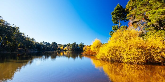 DAYLESFORD, AUSTRALIA - MAY 12 2024: Landscape around Lake Daylesford in a cool late autumn afternoon in Daylesford, Victoria, Australia