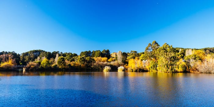 DAYLESFORD, AUSTRALIA - MAY 12 2024: Landscape around Lake Daylesford in a cool late autumn afternoon in Daylesford, Victoria, Australia