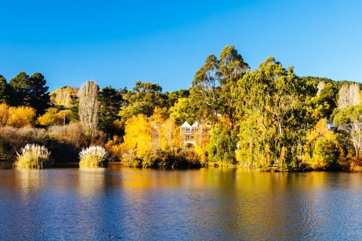 DAYLESFORD, AUSTRALIA - MAY 12 2024: Landscape around Lake Daylesford in a cool late autumn afternoon in Daylesford, Victoria, Australia