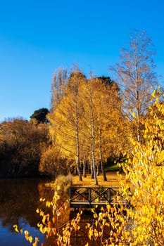 DAYLESFORD, AUSTRALIA - MAY 12 2024: Landscape around Lake Daylesford in a cool late autumn afternoon in Daylesford, Victoria, Australia