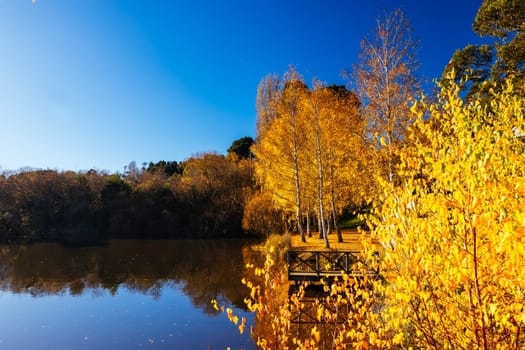 DAYLESFORD, AUSTRALIA - MAY 12 2024: Landscape around Lake Daylesford in a cool late autumn afternoon in Daylesford, Victoria, Australia